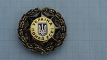 Орден " Україна понад усе!", фото №2