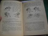 Харлампиев Борьба Самбо . 1964 г, фото №10