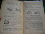Харлампиев Борьба Самбо . 1964 г, фото №11