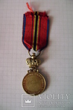 Медаль королевского общества спасателей. Бельгия, серебро., фото №5
