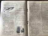 1925 В. Блакитний Харків, фото №5