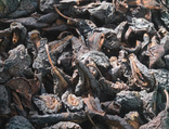 Груши. Сухофрукты сушеные на дровах. Лот 2 кг., фото №2