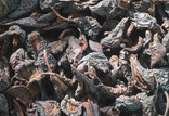 Груши. Сухофрукты сушеные на дровах. Лот 2 кг., фото №3
