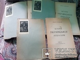 М. Грушевський. Історія українськ літератури. 1923 р. 3 томи., фото №3