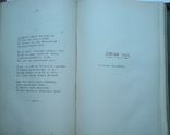 Стихотворения Н.А. Некрасова. Посмертоне издание  1879 г., фото №9