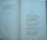 Стихотворения Н.А. Некрасова. Посмертоне издание  1879 г., фото №10