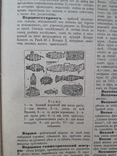 1907 г. Настольная иллюстрированная энциклопедия В. В. Битнера, фото №7