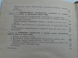 Деформационные свойства КОЖИ для верха ОБУВИ. 1969, фото №10