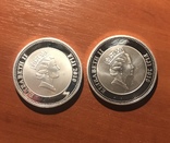 Монеты Фиджи 1 доллар 2 шт 2010 г., фото №3