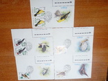 5 конвертов с марками. Птицы защитники леса. Спец гашение., фото №2