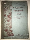 1936 Плодово-ягодный Сад в Красноярском крае, фото №2