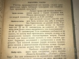 1936 Плодово-ягодный Сад в Красноярском крае, фото №4