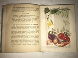 Домашние Рецепты и консервирование плодов, фото №4