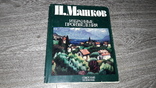 И. Машков избранне произведения альбом цветных репродукций советский художник 1984г, фото №2