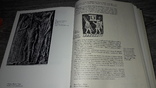 М.В.Алпатов Художественные проблемы искусства Древней Греции 1987г., фото №9