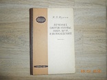 Лечение ожогов головы, лица, шеи и их последствий, фото №2