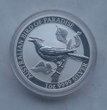 2019 г - 1 доллар Австралии,Райская птица,унция серебра,в капсуле, фото №7