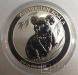 2019 г - 1 доллар Австралии,Коала,унция серебра,в капсуле, фото №2