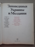 Заповедники Украины и Молдавии, фото №3