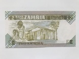 2 квача Замбія, фото №3