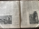 1938 Снайперы Стрельба Ворошиловский стрелок, фото №10