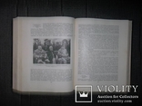Всемирная история.10 том.История 2 мировой.1965 год., фото №9