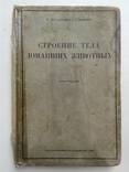 1927. Строение тела Домашних Животных. Диссельгорст Р., фото №2