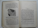 1927. Строение тела Домашних Животных. Диссельгорст Р., фото №5