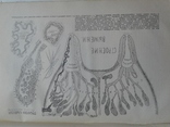 1927. Строение тела Домашних Животных. Диссельгорст Р., фото №11