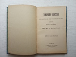 Петро Байда Гомерова Одиссея, 1889, фото №4