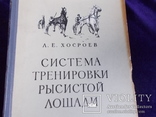 1955г. Тренировки  лошади., фото №2