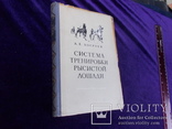 1955г. Тренировки  лошади., фото №3