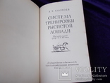 1955г. Тренировки  лошади., фото №6