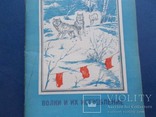 1953г. Волки и их истребление., фото №2