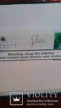 Сигареты «Karelia Slims Menthol»-1 блок., фото №4