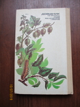 Довідник по захисту садів від шкідників і хворобю1990.258с, фото №7