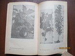 Настольная книга овощевода.1989.288с., фото №6