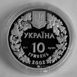 . Пугач. 10 грн 2002 р, срібло, фото №3