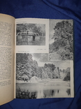 1960 Визначні сади і парки України - 4500 экз., фото №8