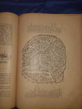 1898 Живописная Россия. т. 6. Москва, фото №2