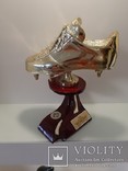 Кубок Приз Золотая Бутса вручен Нери Альберто Кастильо, фото №2