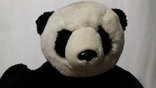 Панда, фото №3