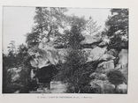 1900е  Лес Фонтенбло (16 фото старой Европы), фото №4