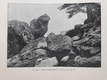 1900е  Лес Фонтенбло (16 фото старой Европы), фото №5