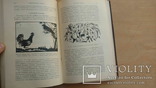 Л. И. Гессен, Архитектура книги, 1931, автограф автора., фото №11