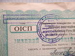 Іменний інвестиційний сертифікат.1995 року. Киевская Русь., фото №4