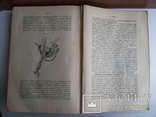 Оперативное акушерство Академик А Красовский 1889 СПБ, фото №9