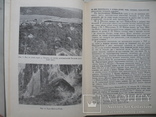 "Шайтан-Коба - мустьєрська стоянка Криму" 1972 год, тираж 1 000, фото №7