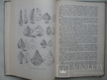 "Шайтан-Коба - мустьєрська стоянка Криму" 1972 год, тираж 1 000, фото №10