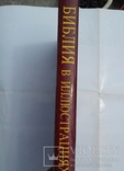 БИБЛИЯ В ИЛЮСТРАЦИЯХ Ю.Ш. ФОН КАРОЛЬСФЕЛЬД 240 илюстраций гравюры по дереву, фото №6